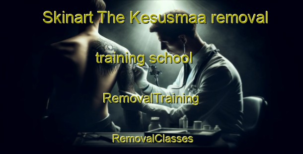 Skinart The Kesusmaa removal training school | RemovalTraining | RemovalClasses | SkinartTraining-Finland