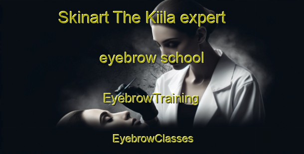 Skinart The Kiila expert eyebrow school | EyebrowTraining | EyebrowClasses | SkinartTraining-Finland