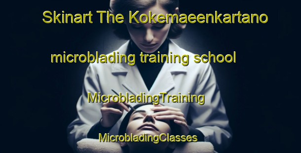 Skinart The Kokemaeenkartano microblading training school | MicrobladingTraining | MicrobladingClasses | SkinartTraining-Finland