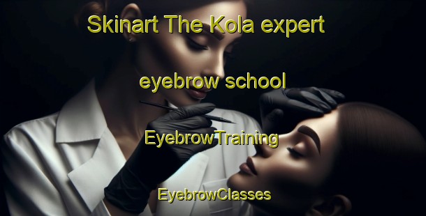 Skinart The Kola expert eyebrow school | EyebrowTraining | EyebrowClasses | SkinartTraining-Finland