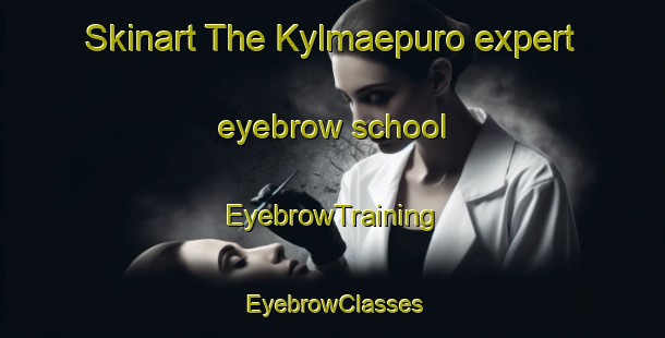 Skinart The Kylmaepuro expert eyebrow school | EyebrowTraining | EyebrowClasses | SkinartTraining-Finland