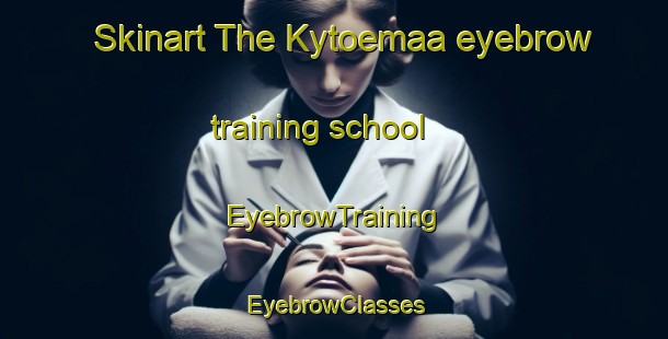 Skinart The Kytoemaa eyebrow training school | EyebrowTraining | EyebrowClasses | SkinartTraining-Finland