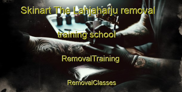 Skinart The Lahjaharju removal training school | RemovalTraining | RemovalClasses | SkinartTraining-Finland