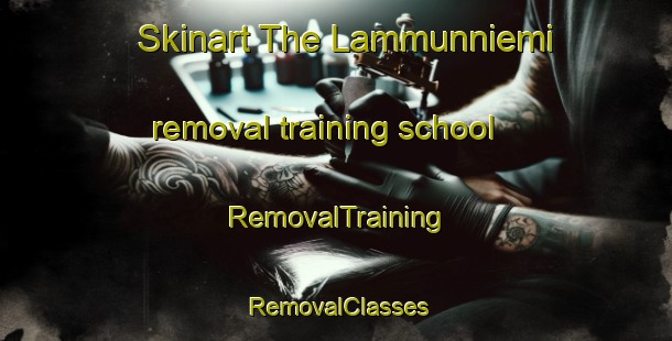 Skinart The Lammunniemi removal training school | RemovalTraining | RemovalClasses | SkinartTraining-Finland