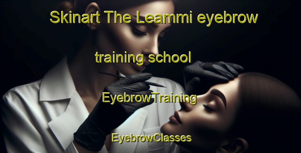 Skinart The Leammi eyebrow training school | EyebrowTraining | EyebrowClasses | SkinartTraining-Finland