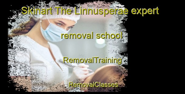 Skinart The Linnusperae expert removal school | RemovalTraining | RemovalClasses | SkinartTraining-Finland