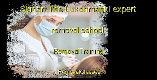 Skinart The Lukonmaeki expert removal school | RemovalTraining | RemovalClasses | SkinartTraining-Finland