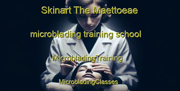 Skinart The Maettoeae microblading training school | MicrobladingTraining | MicrobladingClasses | SkinartTraining-Finland