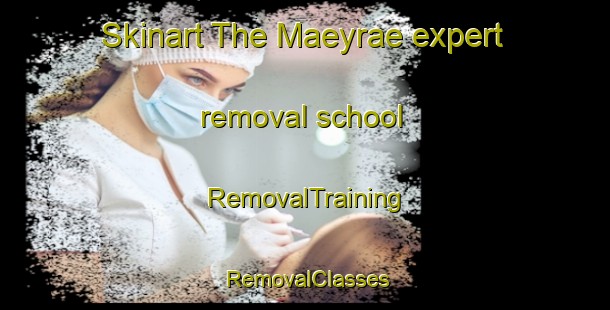 Skinart The Maeyrae expert removal school | RemovalTraining | RemovalClasses | SkinartTraining-Finland
