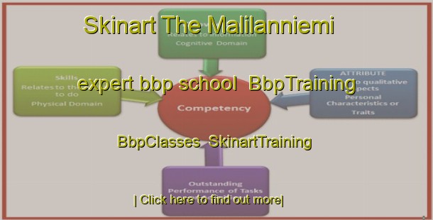 Skinart The Malilanniemi expert bbp school | BbpTraining | BbpClasses | SkinartTraining-Finland