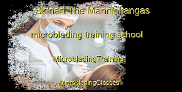 Skinart The Manninkangas microblading training school | MicrobladingTraining | MicrobladingClasses | SkinartTraining-Finland