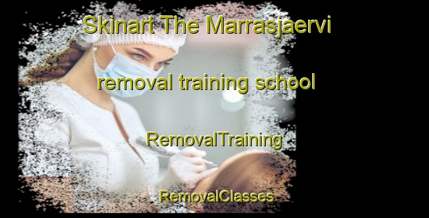 Skinart The Marrasjaervi removal training school | RemovalTraining | RemovalClasses | SkinartTraining-Finland