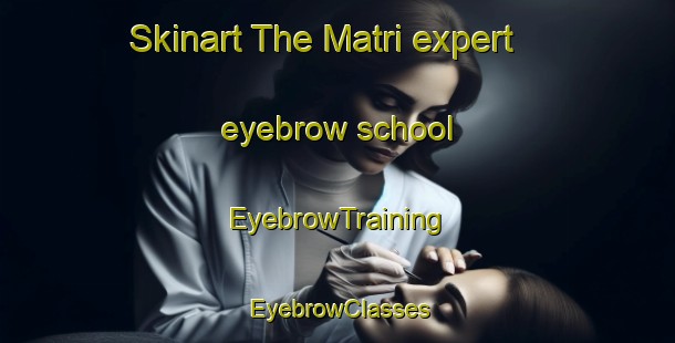 Skinart The Matri expert eyebrow school | EyebrowTraining | EyebrowClasses | SkinartTraining-Finland