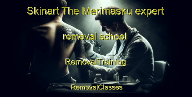 Skinart The Merimasku expert removal school | RemovalTraining | RemovalClasses | SkinartTraining-Finland