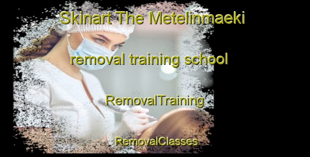Skinart The Metelinmaeki removal training school | RemovalTraining | RemovalClasses | SkinartTraining-Finland