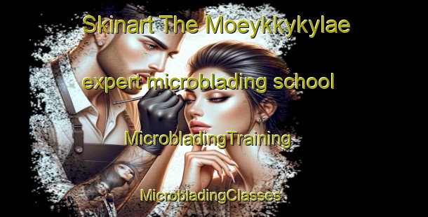 Skinart The Moeykkykylae expert microblading school | MicrobladingTraining | MicrobladingClasses | SkinartTraining-Finland