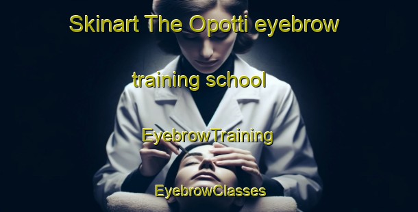 Skinart The Opotti eyebrow training school | EyebrowTraining | EyebrowClasses | SkinartTraining-Finland