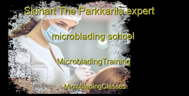 Skinart The Parkkarila expert microblading school | #MicrobladingTraining #MicrobladingClasses #SkinartTraining-Finland