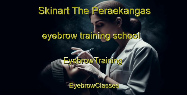 Skinart The Peraekangas eyebrow training school | EyebrowTraining | EyebrowClasses | SkinartTraining-Finland