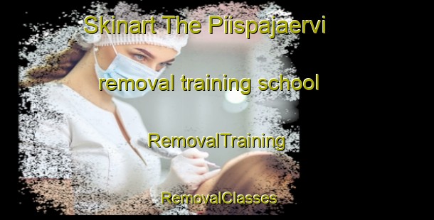 Skinart The Piispajaervi removal training school | RemovalTraining | RemovalClasses | SkinartTraining-Finland