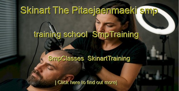 Skinart The Pitaejaenmaeki smp training school | SmpTraining | SmpClasses | SkinartTraining-Finland