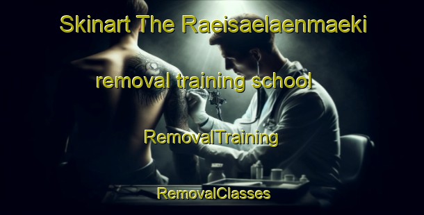 Skinart The Raeisaelaenmaeki removal training school | RemovalTraining | RemovalClasses | SkinartTraining-Finland