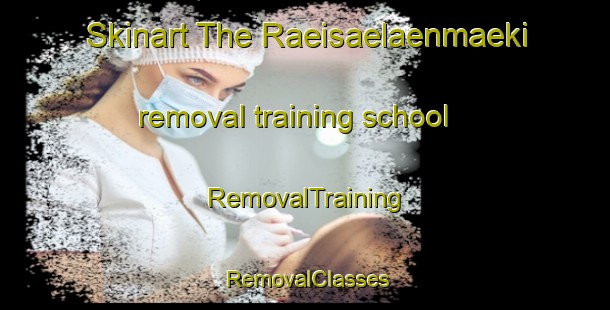 Skinart The Raeisaelaenmaeki removal training school | RemovalTraining | RemovalClasses | SkinartTraining-Finland