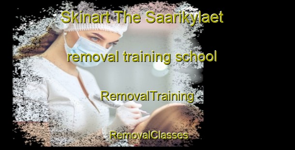 Skinart The Saarikylaet removal training school | RemovalTraining | RemovalClasses | SkinartTraining-Finland