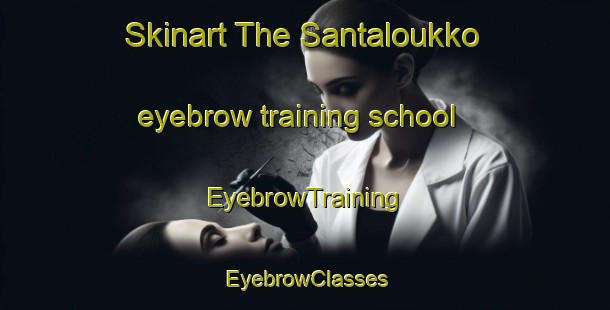 Skinart The Santaloukko eyebrow training school | EyebrowTraining | EyebrowClasses | SkinartTraining-Finland
