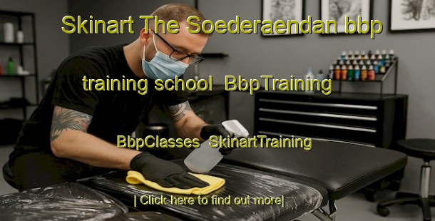 Skinart The Soederaendan bbp training school | BbpTraining | BbpClasses | SkinartTraining-Finland