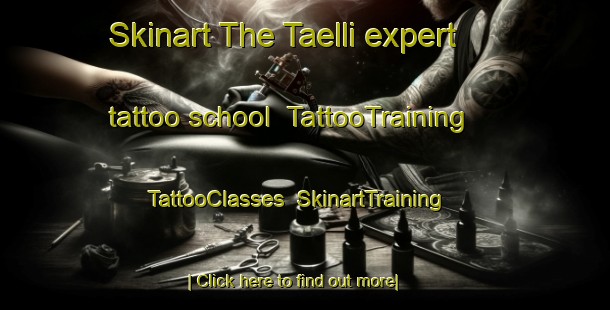 Skinart The Taelli expert tattoo school | TattooTraining | TattooClasses | SkinartTraining-Finland