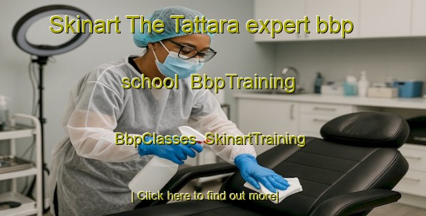 Skinart The Tattara expert bbp school | BbpTraining | BbpClasses | SkinartTraining-Finland