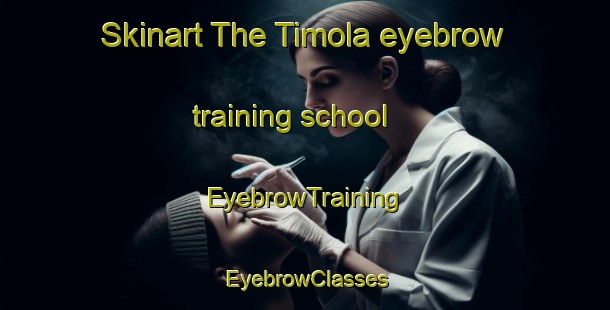 Skinart The Timola eyebrow training school | EyebrowTraining | EyebrowClasses | SkinartTraining-Finland