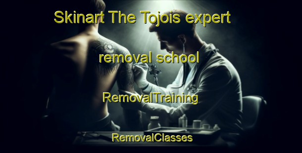 Skinart The Tojois expert removal school | RemovalTraining | RemovalClasses | SkinartTraining-Finland