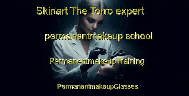 Skinart The Torro expert permanentmakeup school | PermanentmakeupTraining | PermanentmakeupClasses | SkinartTraining-Finland