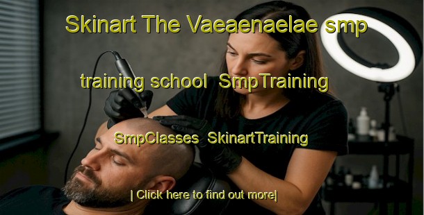 Skinart The Vaeaenaelae smp training school | SmpTraining | SmpClasses | SkinartTraining-Finland