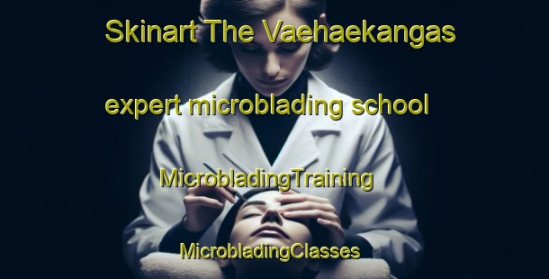 Skinart The Vaehaekangas expert microblading school | MicrobladingTraining | MicrobladingClasses | SkinartTraining-Finland