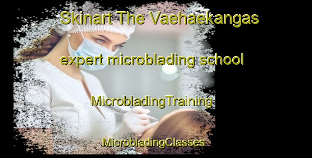 Skinart The Vaehaekangas expert microblading school | MicrobladingTraining | MicrobladingClasses | SkinartTraining-Finland