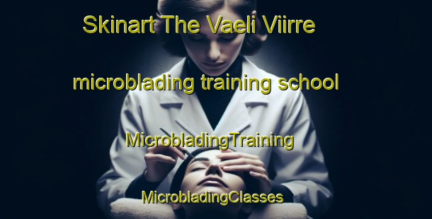 Skinart The Vaeli Viirre microblading training school | MicrobladingTraining | MicrobladingClasses | SkinartTraining-Finland