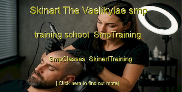 Skinart The Vaelikylae smp training school | SmpTraining | SmpClasses | SkinartTraining-Finland