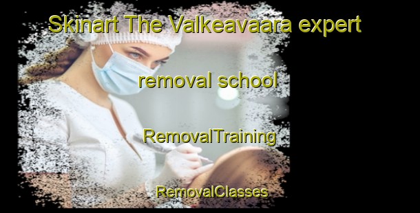 Skinart The Valkeavaara expert removal school | RemovalTraining | RemovalClasses | SkinartTraining-Finland