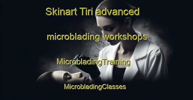 Skinart Tiri advanced microblading workshops | MicrobladingTraining | MicrobladingClasses | SkinartTraining-Finland