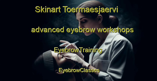 Skinart Toermaesjaervi advanced eyebrow workshops | EyebrowTraining | EyebrowClasses | SkinartTraining-Finland