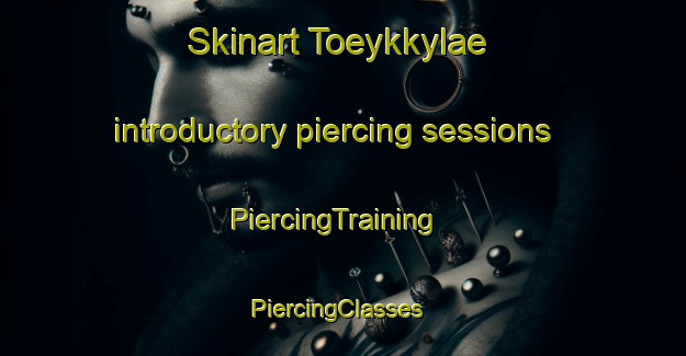 Skinart Toeykkylae introductory piercing sessions | PiercingTraining | PiercingClasses | SkinartTraining-Finland