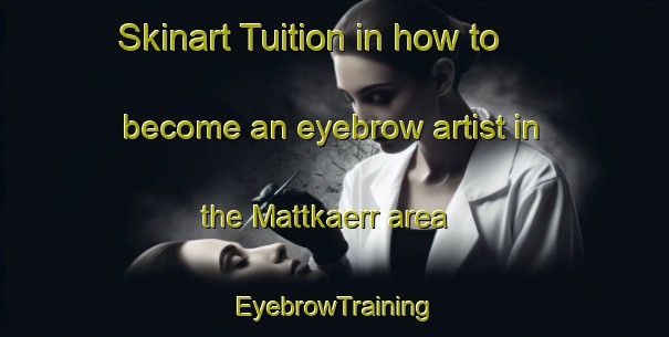 Skinart Tuition in how to become an eyebrow artist in the Mattkaerr area | EyebrowTraining | EyebrowClasses | SkinartTraining-Finland