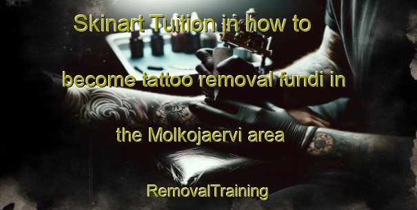 Skinart Tuition in how to become tattoo removal fundi in the Molkojaervi area | RemovalTraining | RemovalClasses | SkinartTraining-Finland