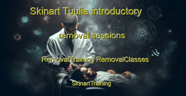 Skinart Tuulia introductory removal sessions | #RemovalTraining #RemovalClasses #SkinartTraining-Finland