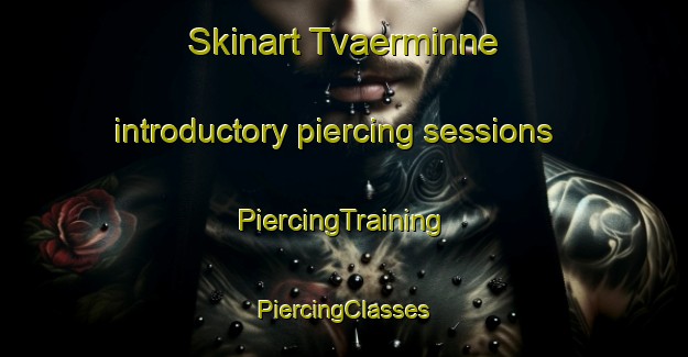 Skinart Tvaerminne introductory piercing sessions | #PiercingTraining #PiercingClasses #SkinartTraining-Finland