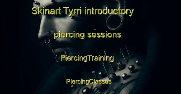 Skinart Tyrri introductory piercing sessions | PiercingTraining | PiercingClasses | SkinartTraining-Finland
