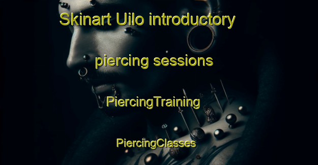 Skinart Uilo introductory piercing sessions | PiercingTraining | PiercingClasses | SkinartTraining-Finland